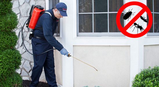 Bala Fare İlaçlama böcek ilaçlama ve haşere kontrolü — ilaclama-tr.com